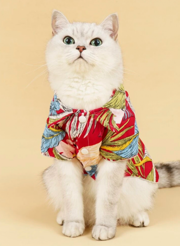 Baju kucing dengan motif tumbuhan